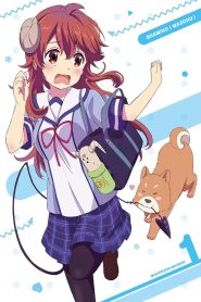 The Demon Girl Next Door: الموسم 1